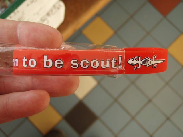 Je libo ještěrku? Aneb Born to be scout!