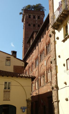 Lucca - Torre Guinigi