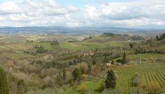Toskánsko - krajina v okolí San Gimignano