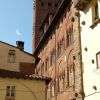 Lucca - Torre Guinigi