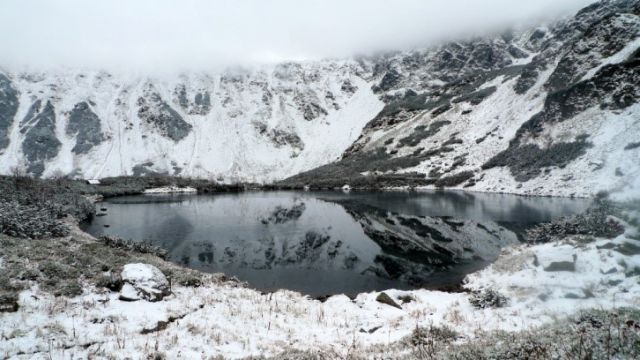 Vložený obrázek