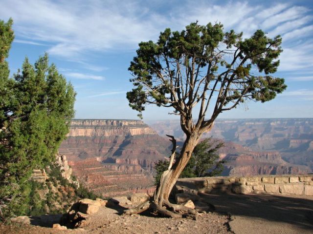 Ranní Grand Canyon