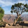 Ranní Grand Canyon