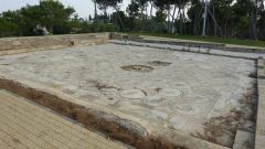 Caesarea - Ptačí mozaika