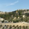 Jeruzalém - Olivová hora