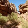 Wadi Rum - kaňon