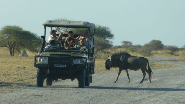 Safari v Nxai Pan