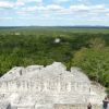 Calakmul - pohled z Estructura II