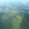 Laguna Bacalar - stromatolity