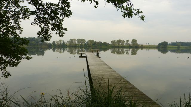 Bernhardsthal - rybník