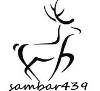 Akce na laminovačku - poslední příspěvek od sambar439