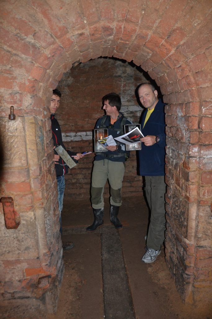 CITO 4. GeoSubterra 2013