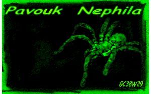 Pavouk Nephila aneb jak jsem jako dítě hltal komiksy…