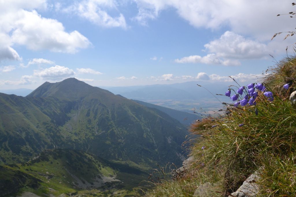 Křížem krážem Roháči