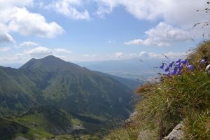 Křížem krážem Roháči