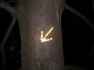 Noční pouť s baterkou