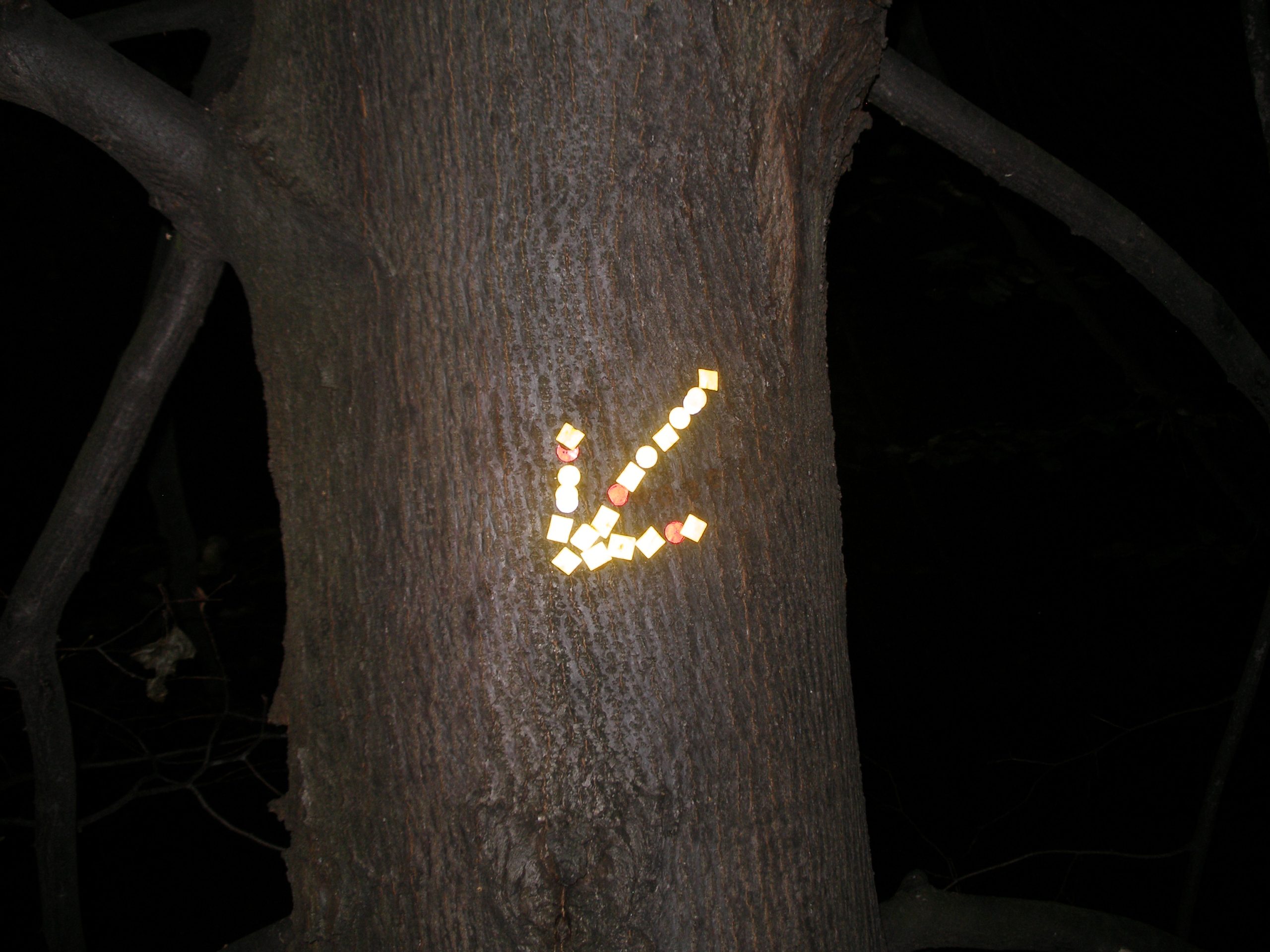 Noční pouť s baterkou