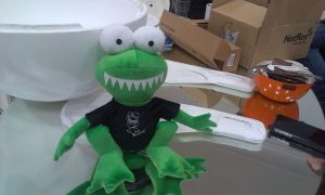 Start Dropionu se blíží