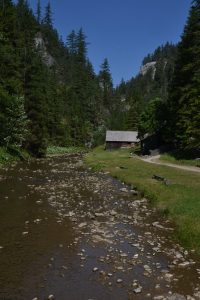 Zapomenutými dolinami Chočských vrchů