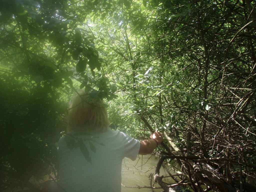 Za dobrodružstvím na Amazonku