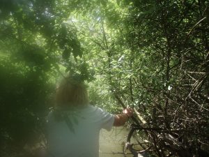 Za dobrodružstvím na Amazonku