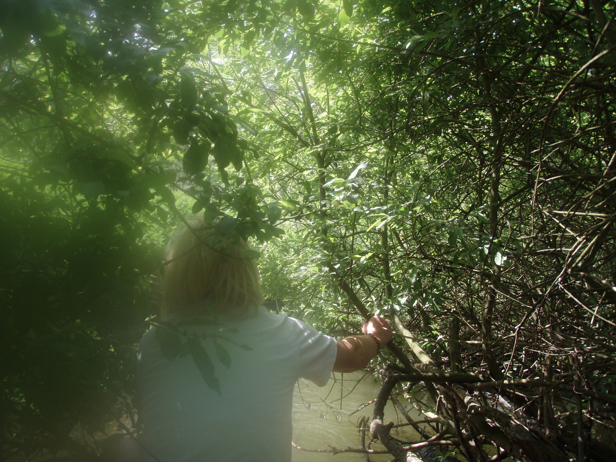 Za dobrodružstvím na Amazonku