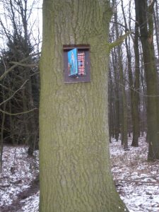 Boj s větrnými mlýny