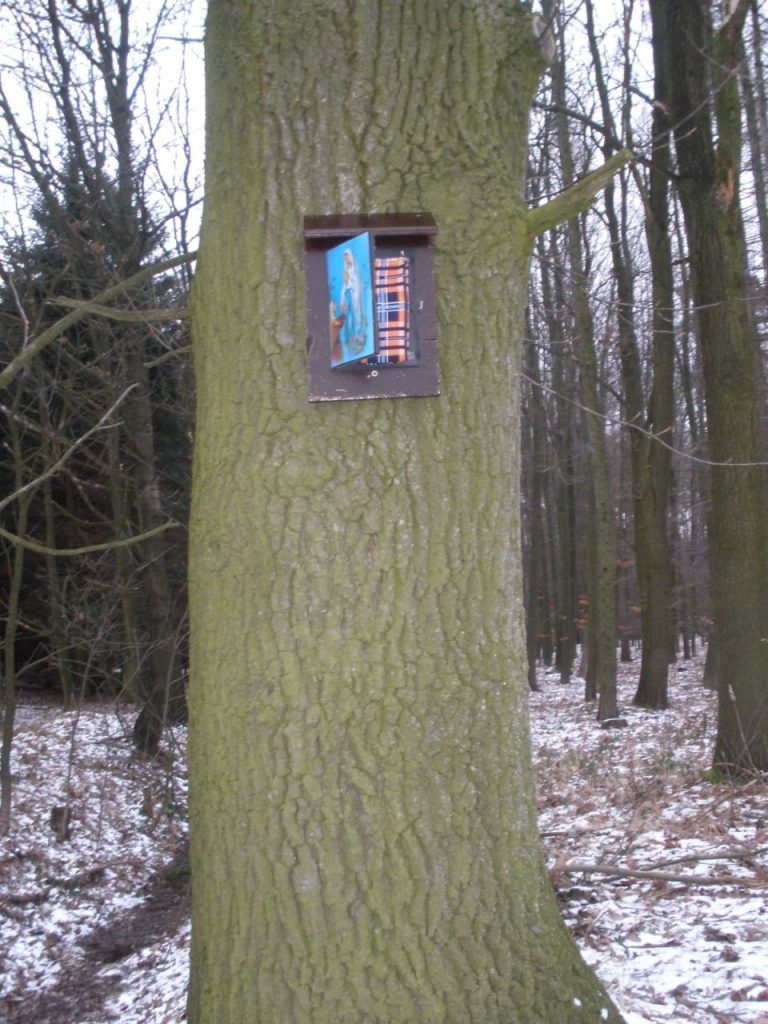 Boj s větrnými mlýny