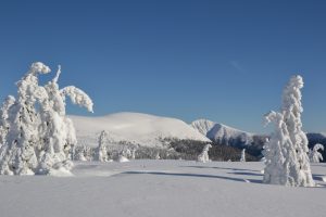 Zapomenuté kouty zimních Krkonoš
