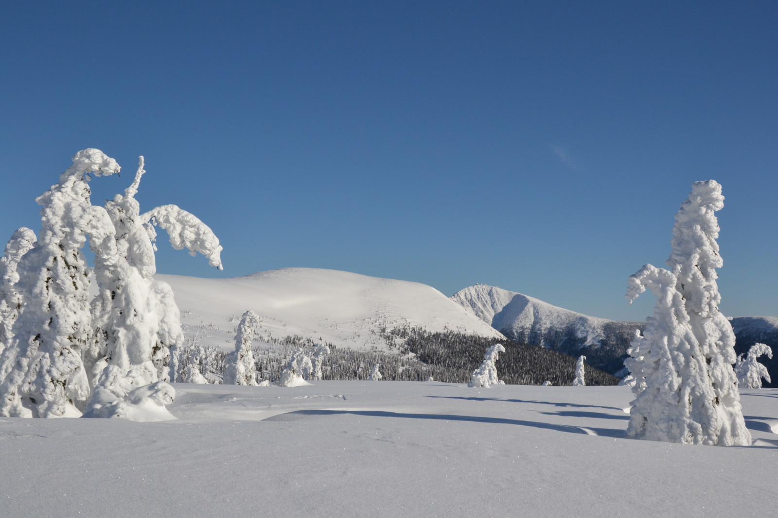 Zapomenuté kouty zimních Krkonoš