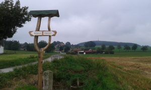 Série, které jsou (nejen) na houby – I.