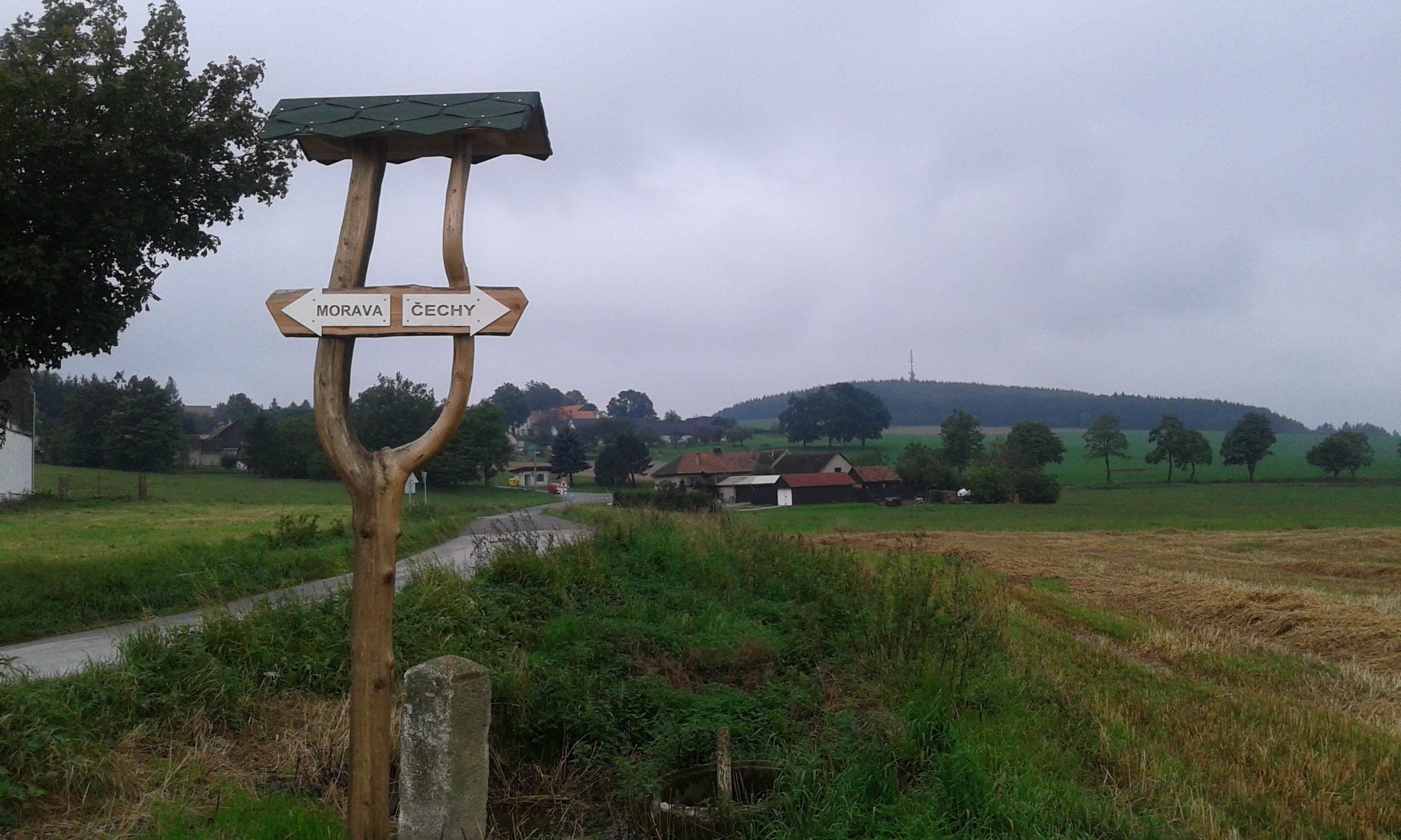 Série, které jsou (nejen) na houby – I.