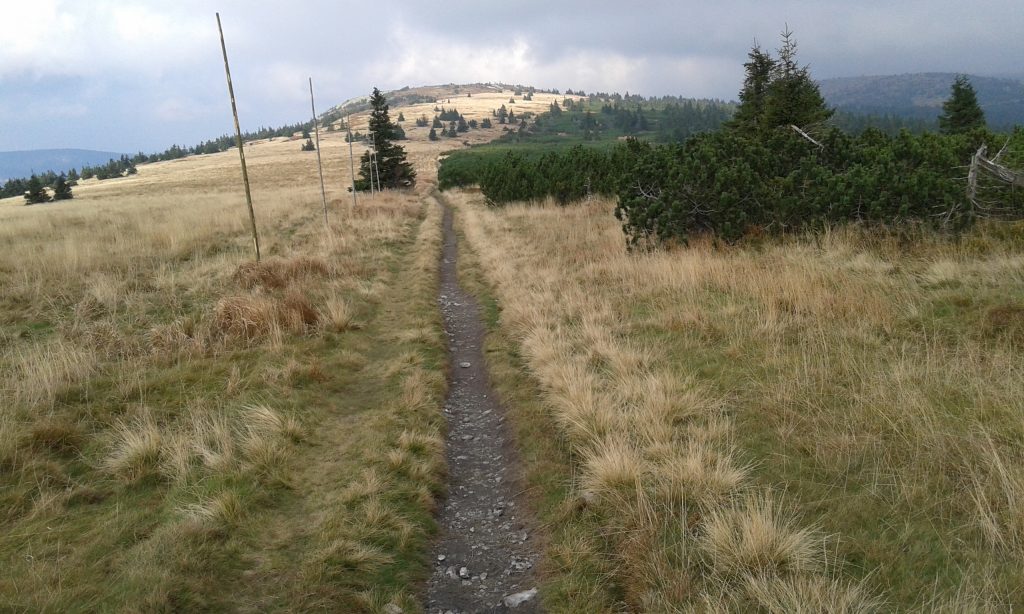 Jesenické putování I