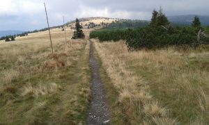 Jesenické putování I