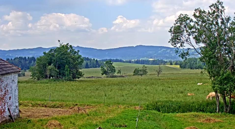 Najděte keš plnou geocoinu na Slow TV