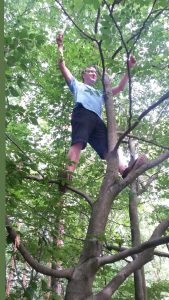 Grunewald 2016 – pohodový den v lese