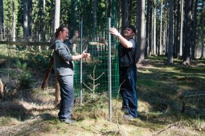 Jedle pro naše děti