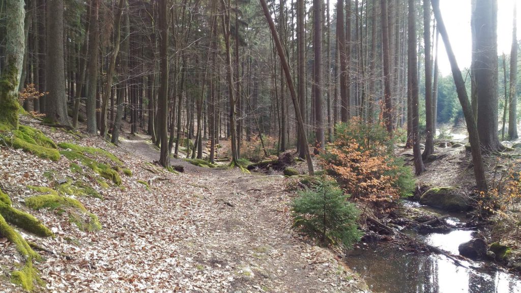 Kešo (O)kouzlení ve Voděradských Bučinách