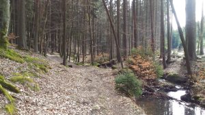 Kešo (O)kouzlení ve Voděradských Bučinách