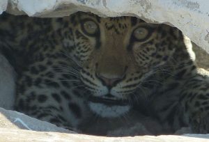 Jedem do Afriky, jedeme do … Namibie (1)