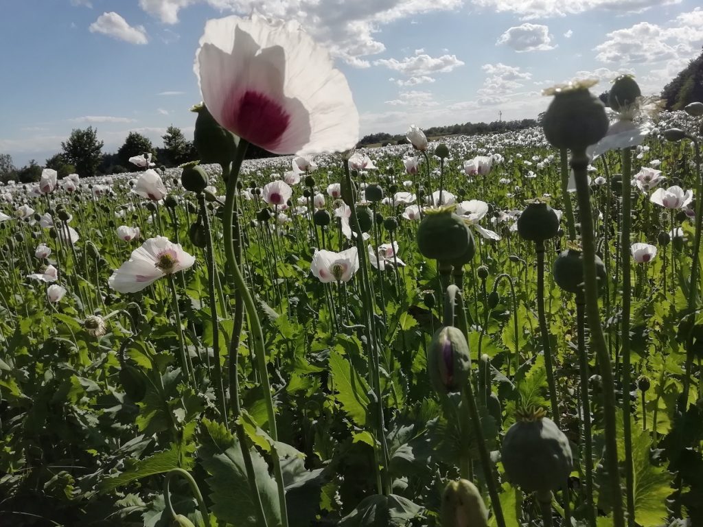 Z východu na západ 2020 – den 2.