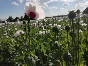 Z východu na západ 2020 – den 2.