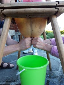 Geozávod BRAZDA – Řádný betatest je cestou k úspěchu