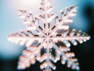 Detailní makro fotografie sněhové vločky symbolizující odolnou keš v zimě.