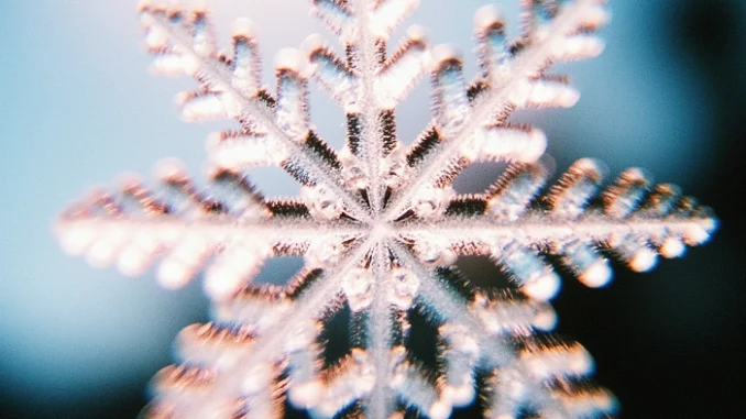 Detailní makro fotografie sněhové vločky symbolizující odolnou keš v zimě.