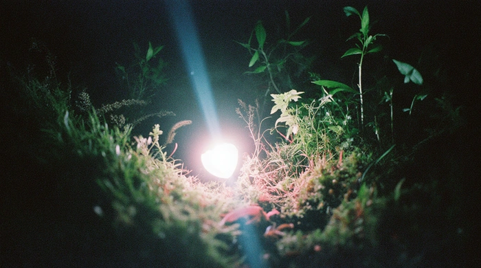 Detail na geocachingovou keš s blikajícími LED diodami zobrazujícími Morseovu šifru v nočním lese.