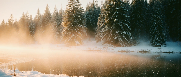 Zasněžené stromy odrážející se v klidné hladině řeky při zimním východu slunce – kouzlo zimní krajiny a geocachingu v mrazu.