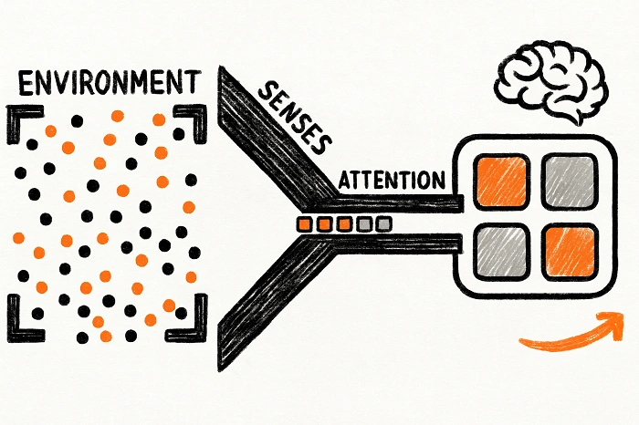 Ilustrace znázorňující omezenou kapacitu vizuální pozornosti – informace z prostředí jsou filtrovány smysly a mozkem, jen část je zpracována.