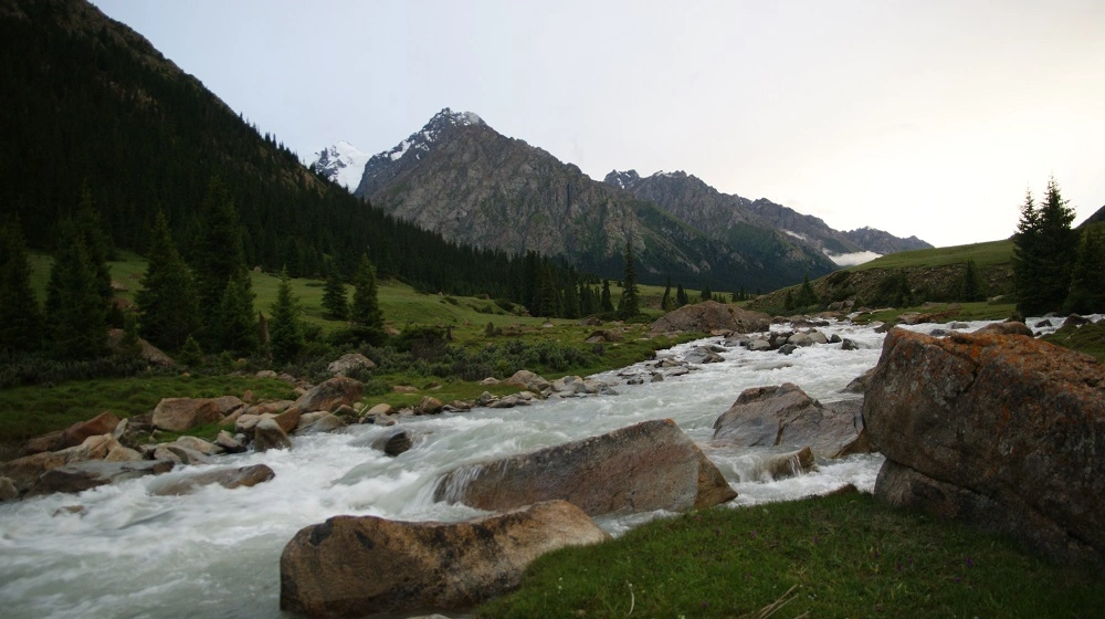 Horská řeka proudící mezi kameny pod zasněženými vrcholky v kyrgyzské krajině.