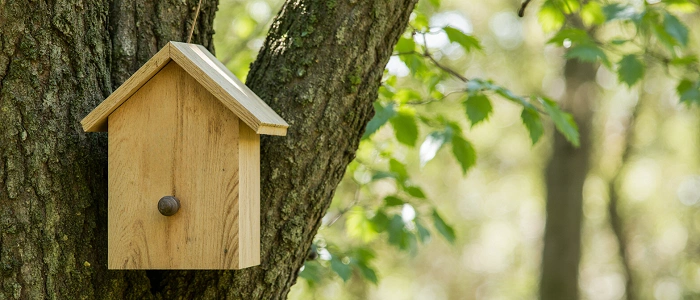 Dřevěná budka zavěšená na stromě v jarním lese, ilustrační foto k tomu, jak vytvořit keš, která potěší a nezpůsobí problémy.